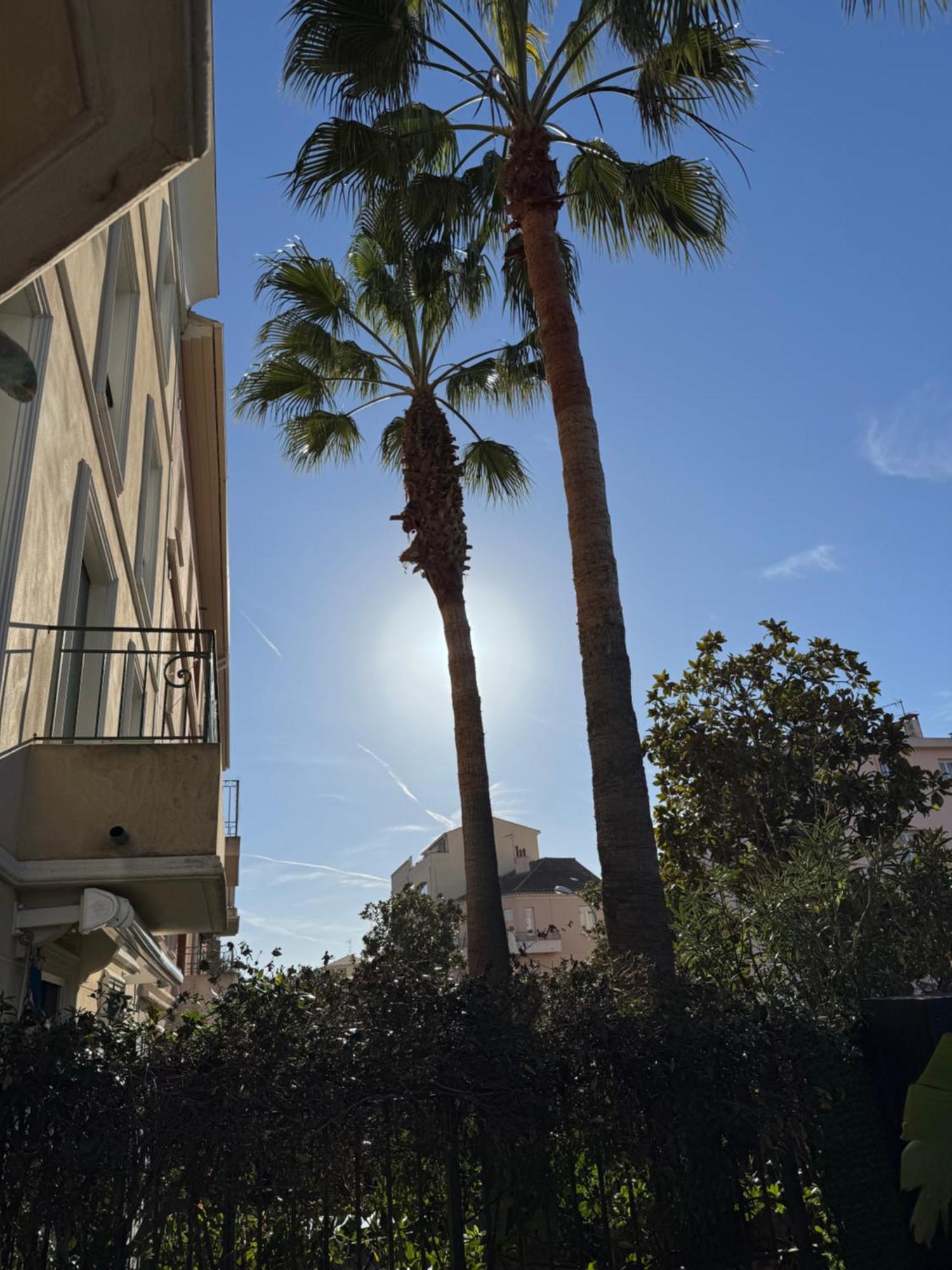 Apartment L 'amaryllis Sanary-sur-Mer